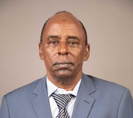 Bidu Mohamed